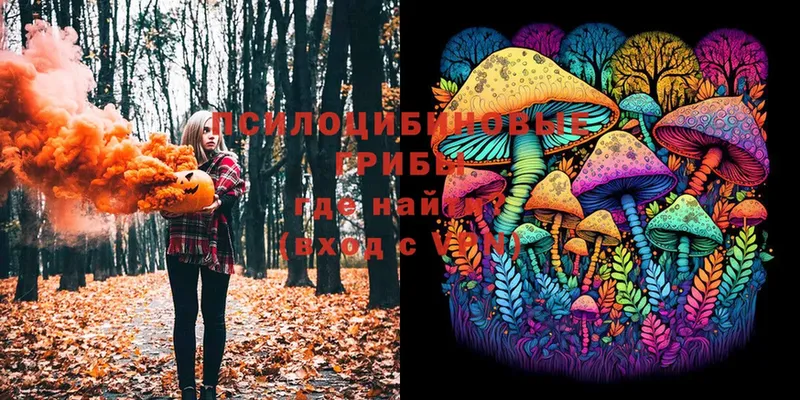 Галлюциногенные грибы MAGIC MUSHROOMS  Биробиджан 